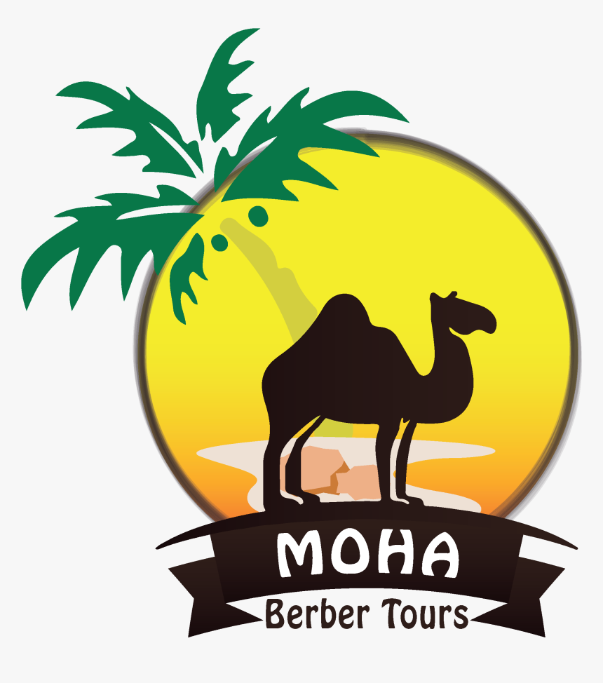 Moha Berber Tours - Arabian Camel, HD Png Download