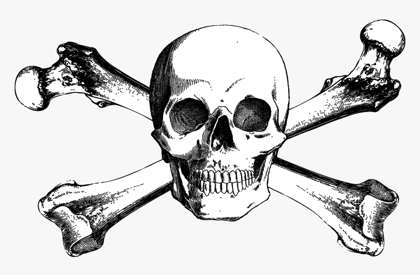 Skull And Bones Skull And Crossbones Drawing - Free Skull And Crossbones, HD Png Download