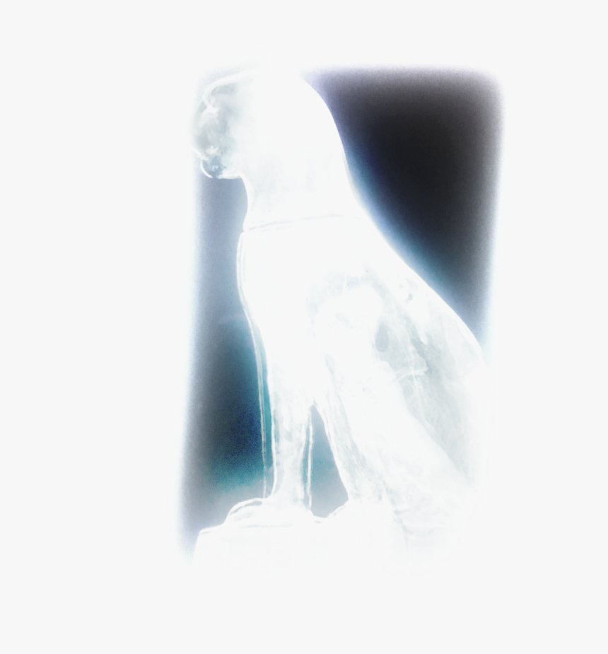 Pile Of Bones Png , Png Download - Penguin, Transparent Png