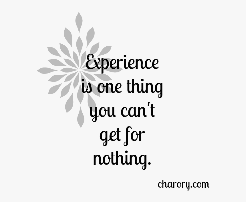 Experience Is One Thing You Can’t Get For Nothing - African Daisy, HD Png Download
