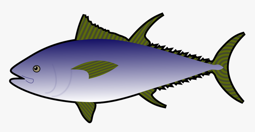 Fish,ocean,sea Life,sea Animal,free Vector Graphics,free - Tuna Fish Clipart, HD Png Download