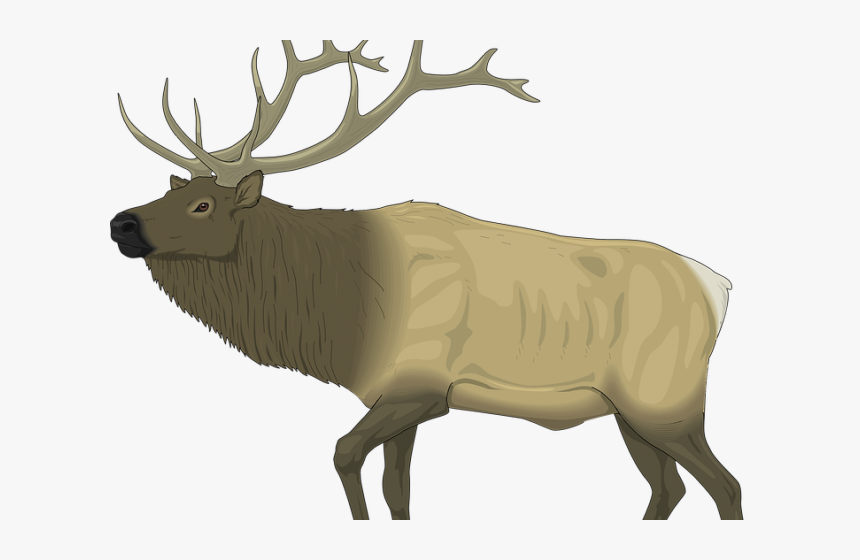 Moose Clipart Caribou - Elks Lodge Santa Clarita, HD Png Download