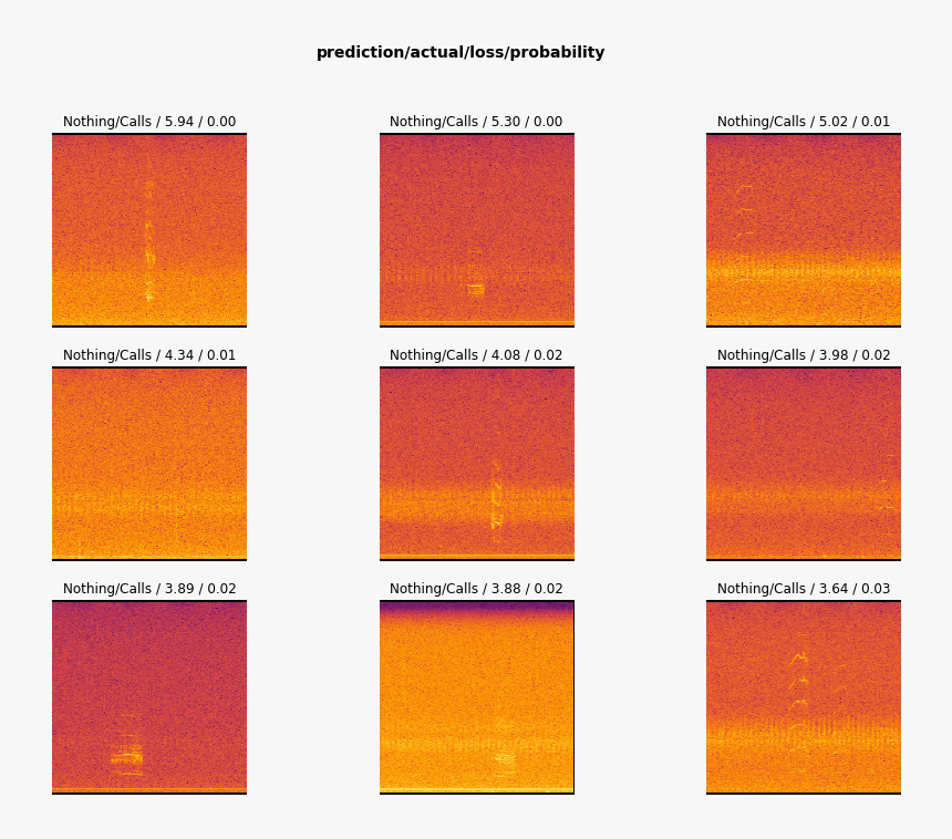 Orange, HD Png Download