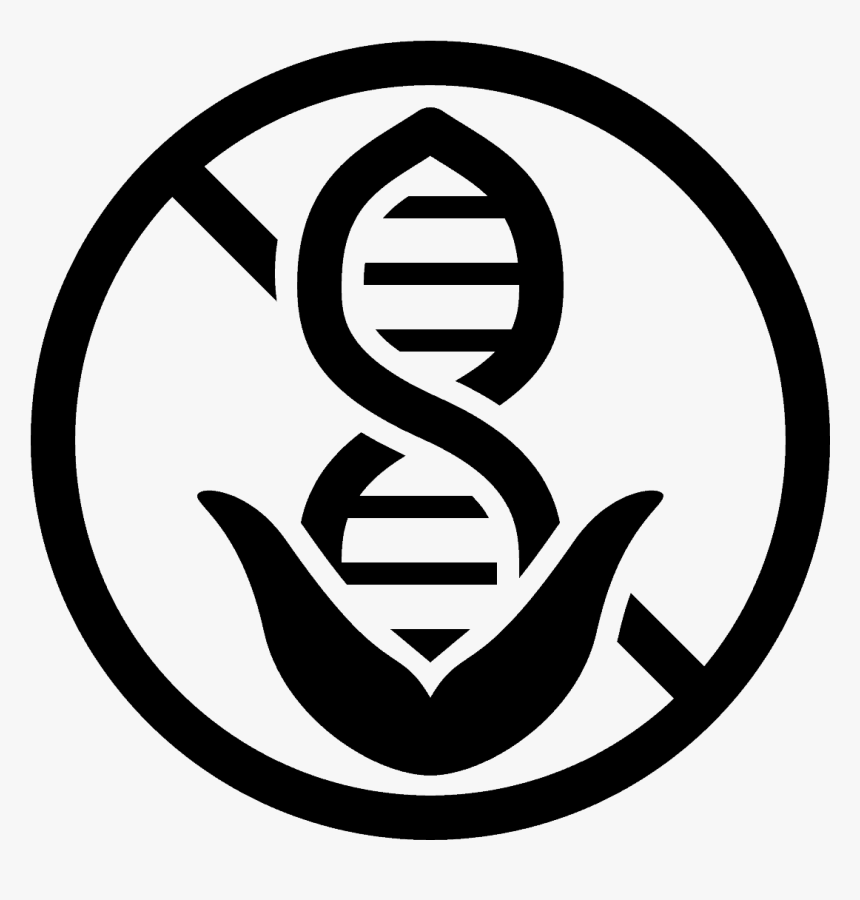 Siemens Schuckert Logo , Png Download - 1925 Siemens Logo, Transparent Png