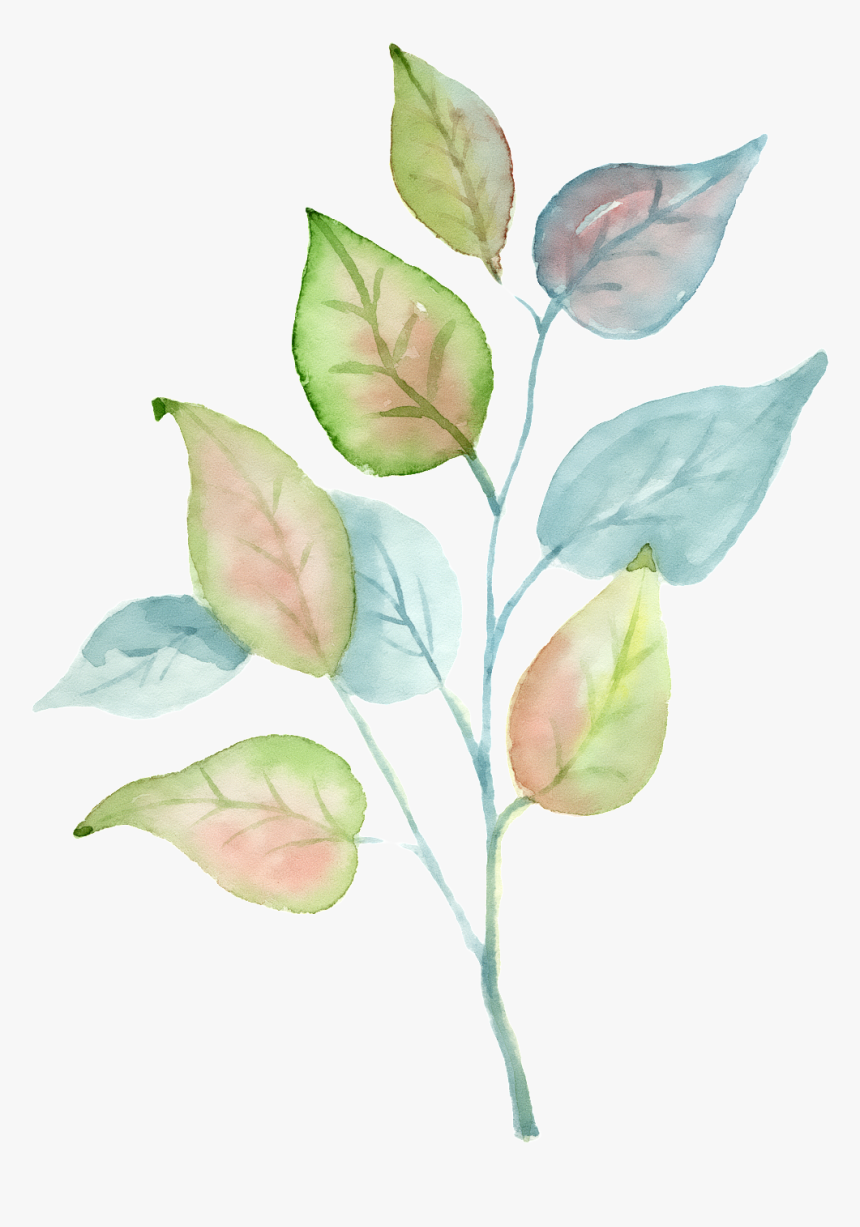 Transparent Tricolor Png - Rose, Png Download