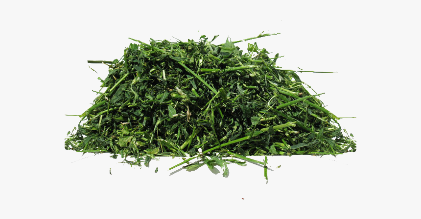 Chaffhaye - Non-gmo Alfalfa - Chaffhaye, HD Png Download