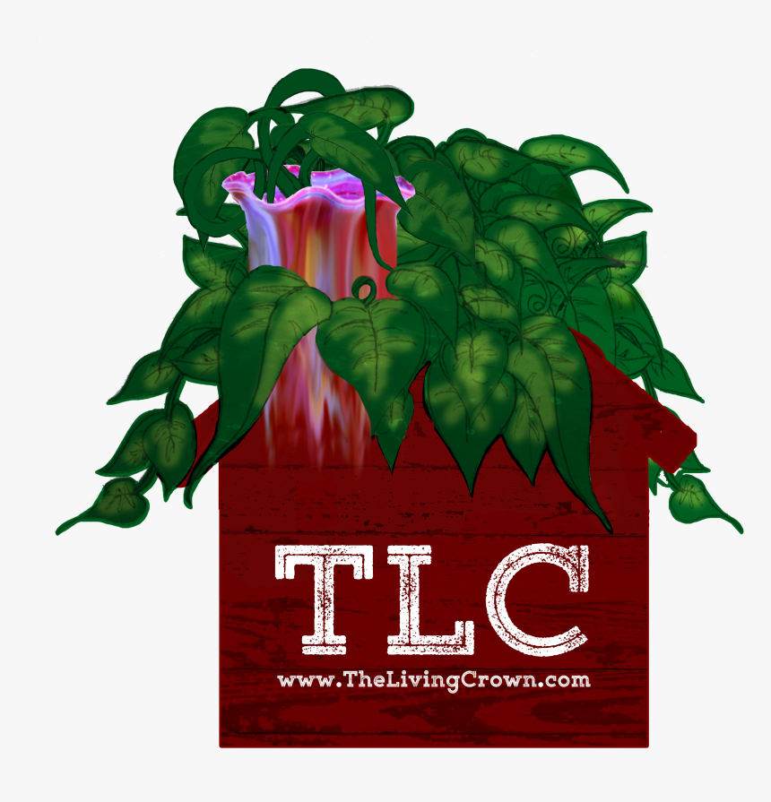 Datura, HD Png Download