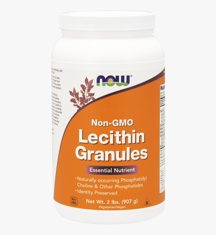 Kelp, HD Png Download