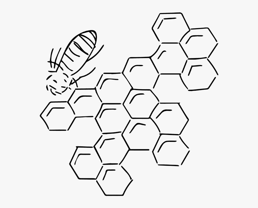 Organic And Non-gmo Ingredients - Line Art, HD Png Download