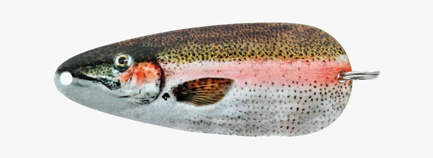 Wrasses, HD Png Download