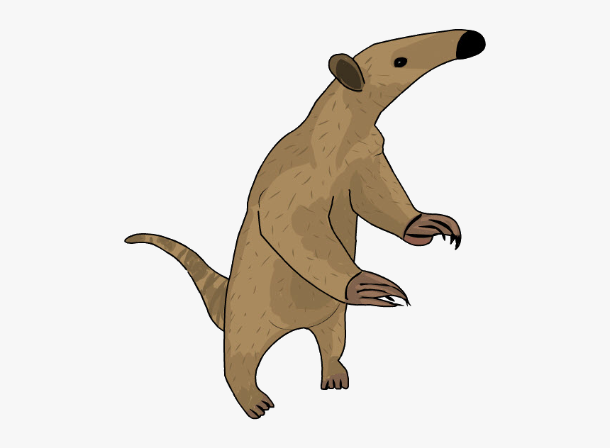 Thumb Image - Oso Hormiguero En Caricatura, HD Png Download