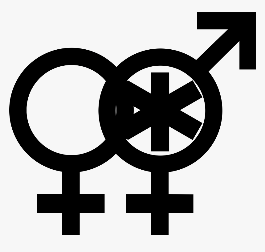 Transparent Man And Woman Symbol Png - Hermaphrodite Symbol, Png ...