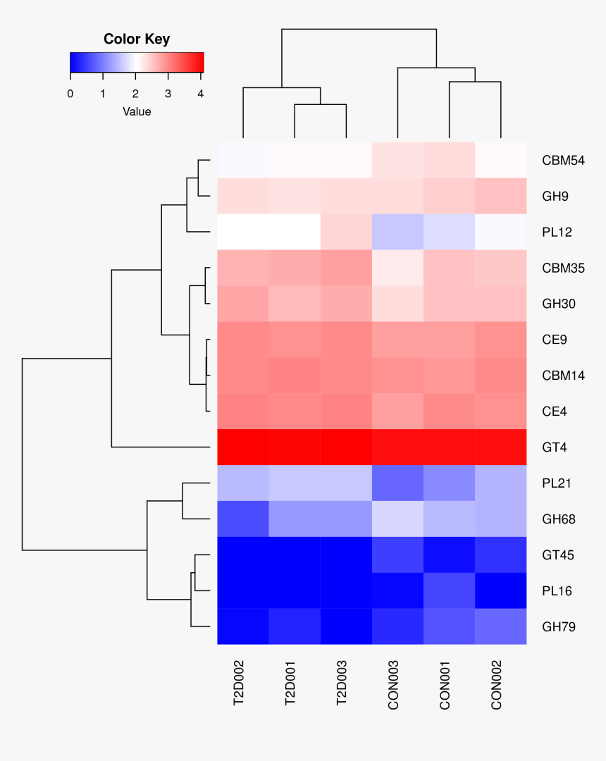 Diagram, HD Png Download