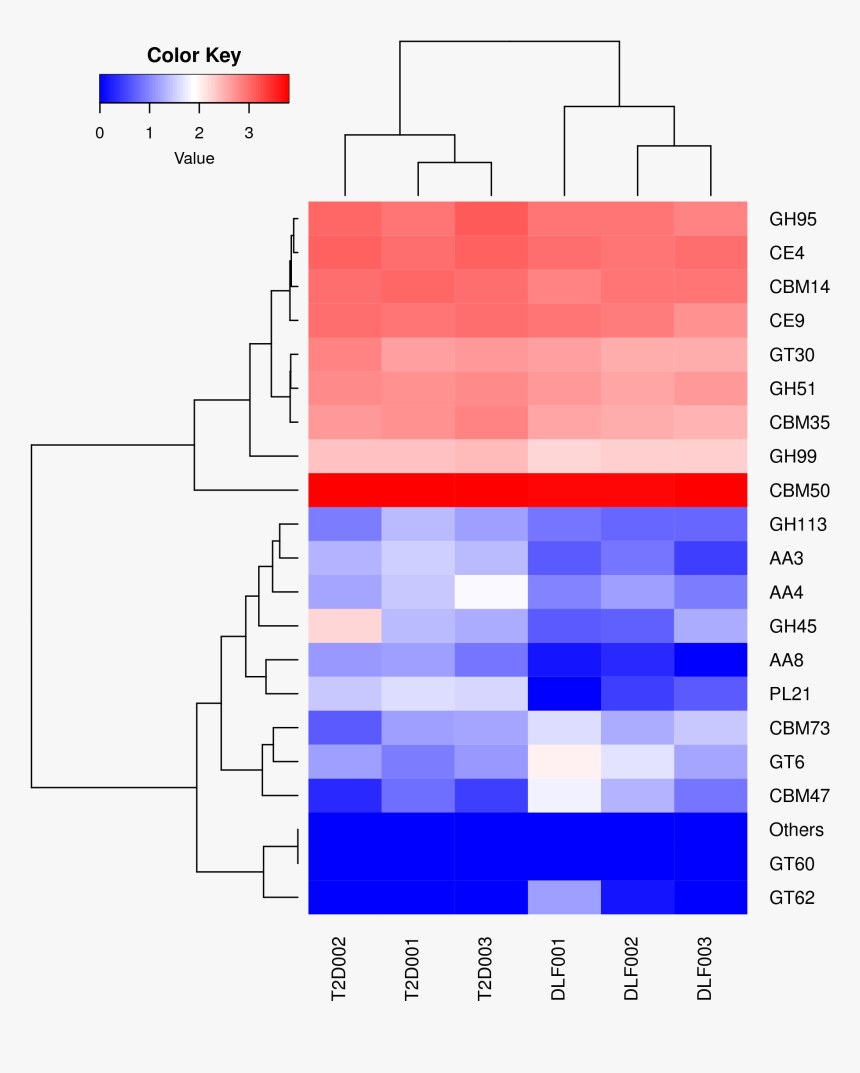 Diagram, HD Png Download