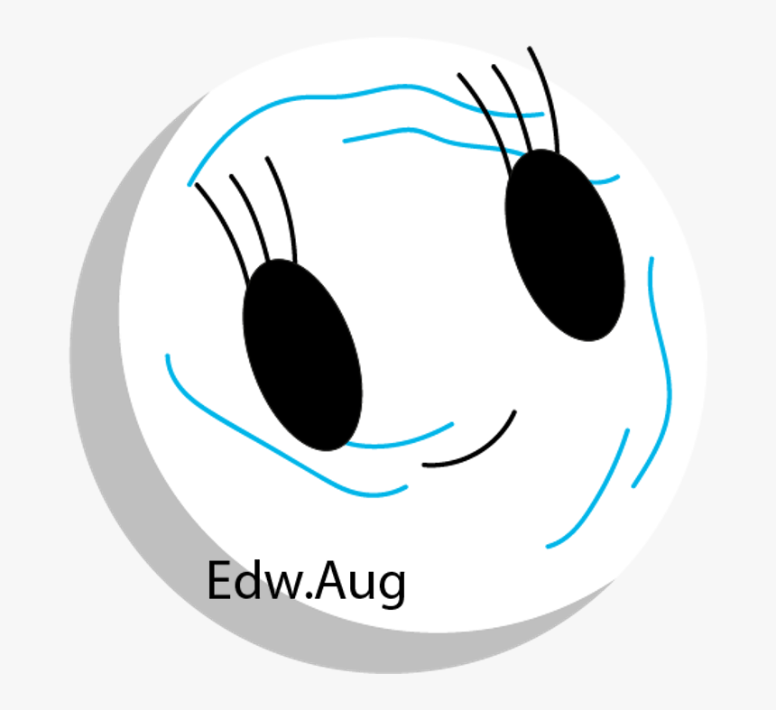 Simple Cosmos Official Wiki - Circle, HD Png Download
