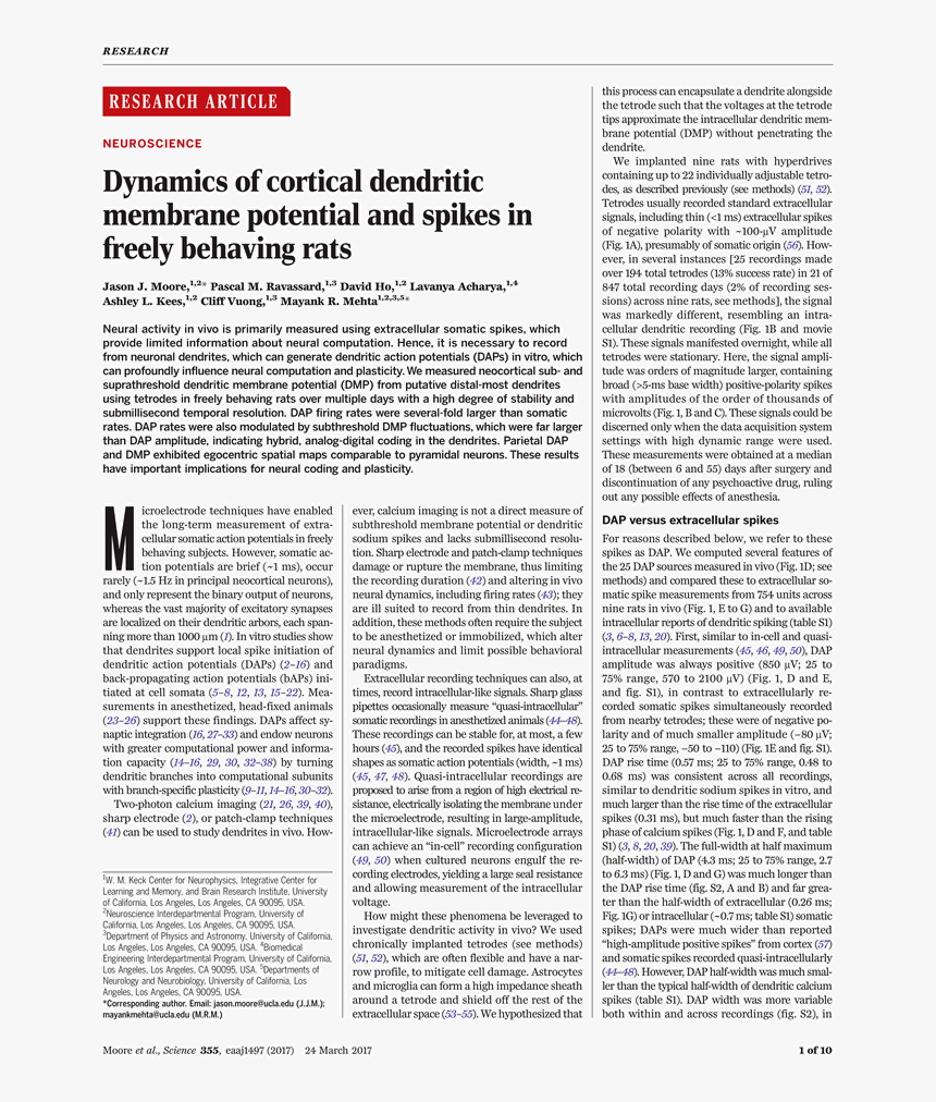 Document, HD Png Download