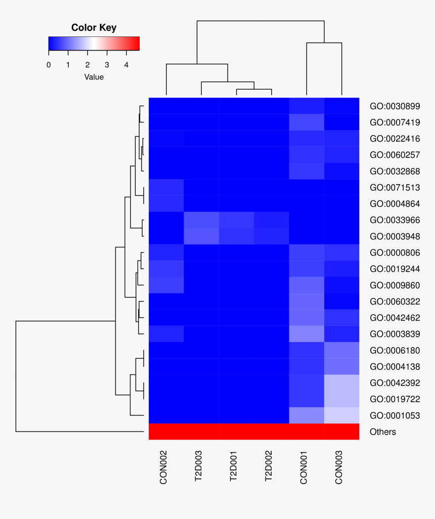 Diagram, HD Png Download