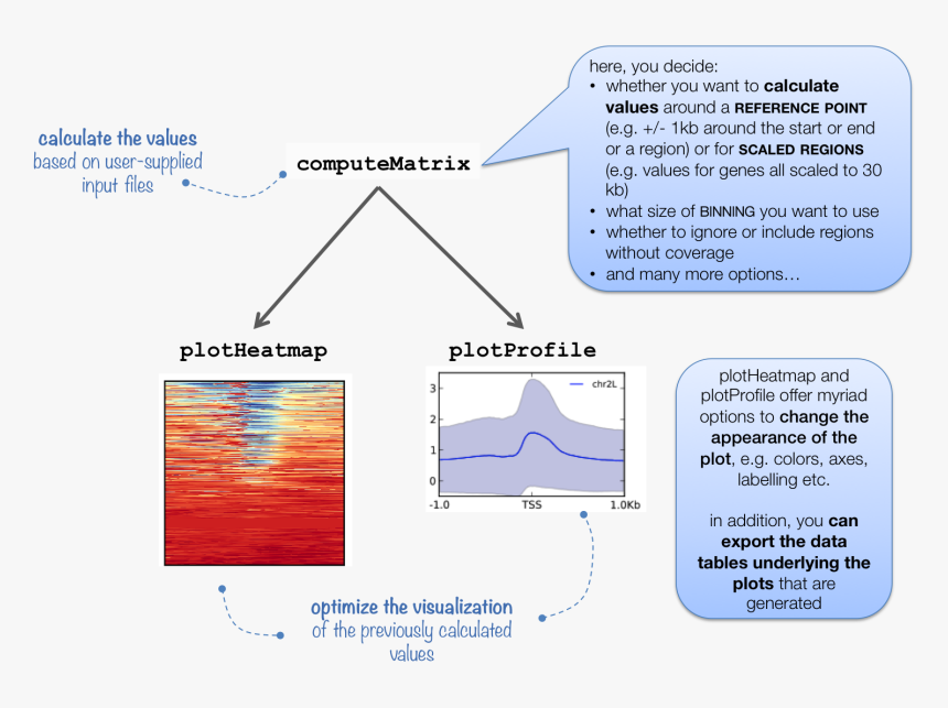 Deeptools Plotprofile, HD Png Download