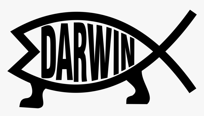 Darwin Evolution Clip Arts - Reptile, HD Png Download