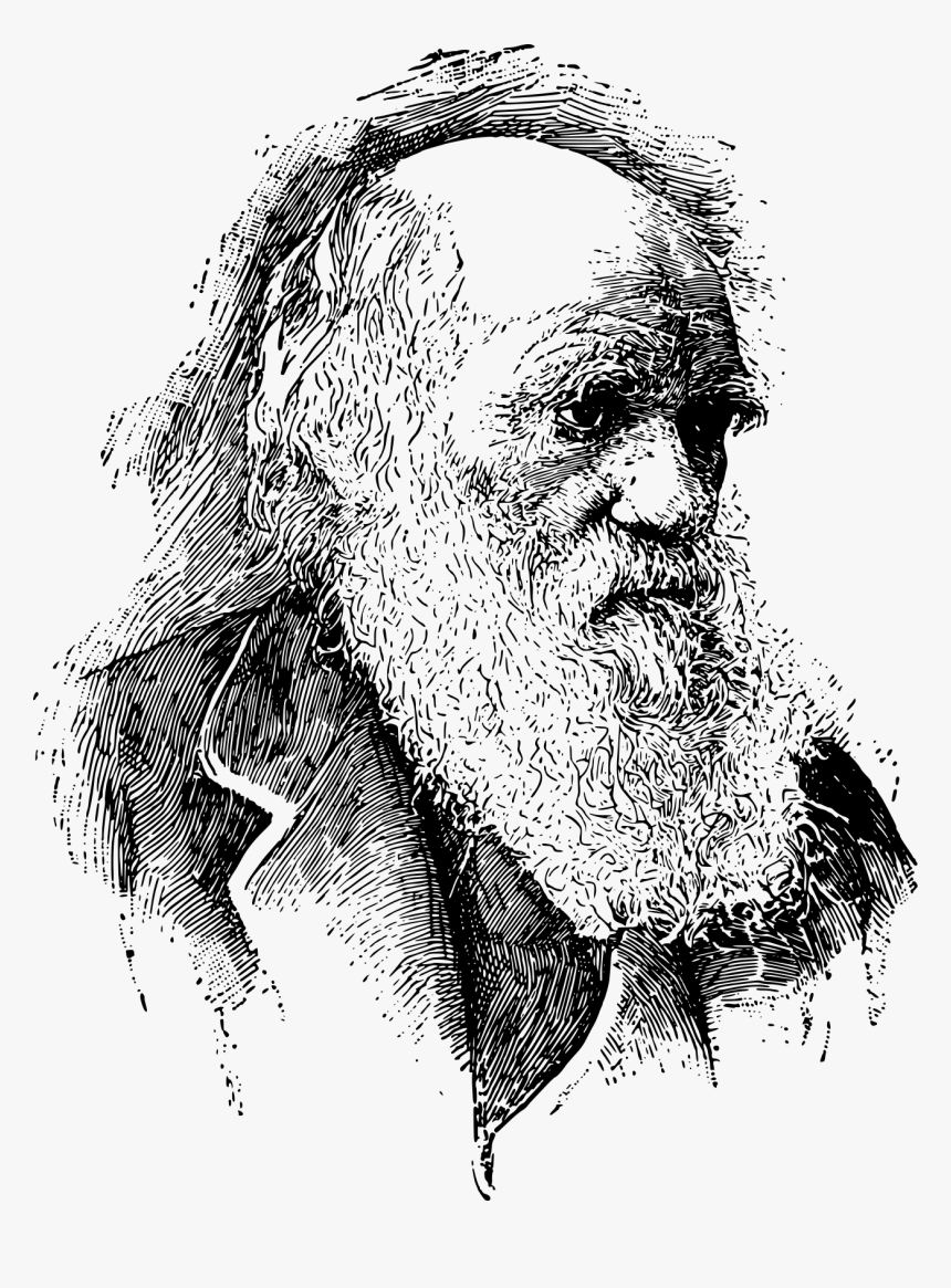 Evolutionary Medicine And Darwin, HD Png Download