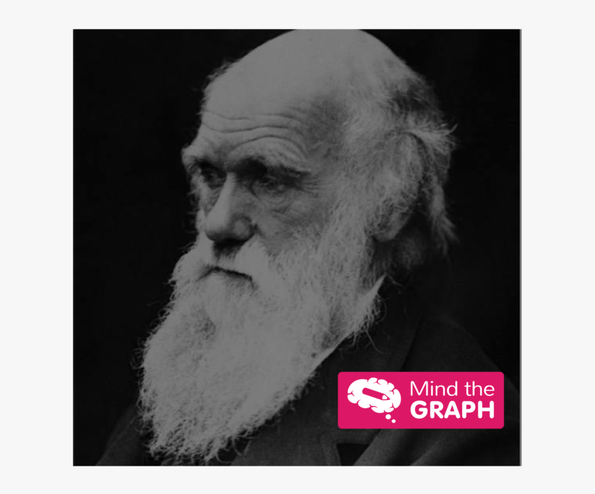 Asset 9@4x - Charles Darwin, HD Png Download