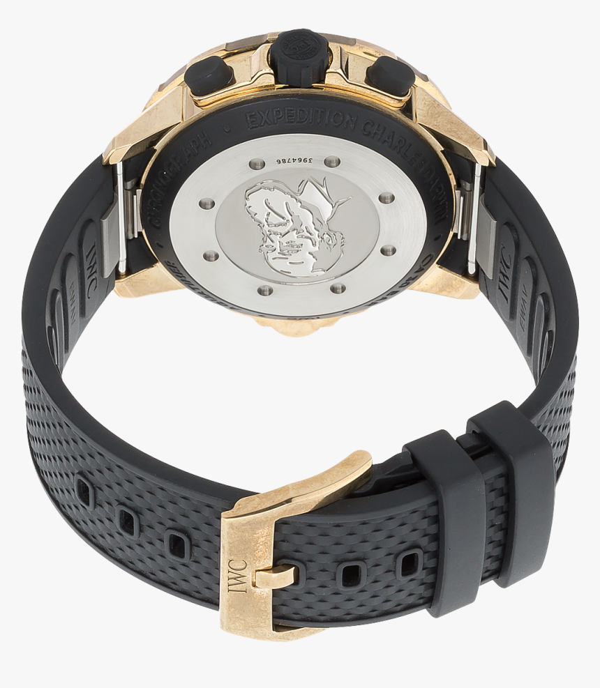 Aquatimer Chronograph Expedition Charles Darwin Bronze - Analog Watch, HD Png Download