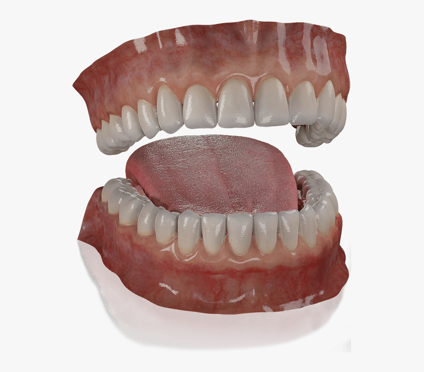 # - Mouth 3d Model Free Download, HD Png Download
