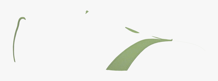 Grass, HD Png Download