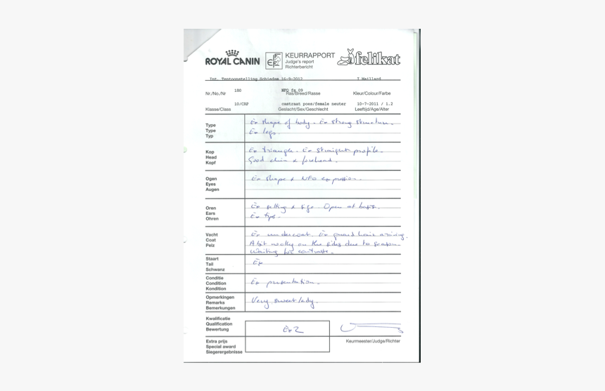 Darkness, HD Png Download