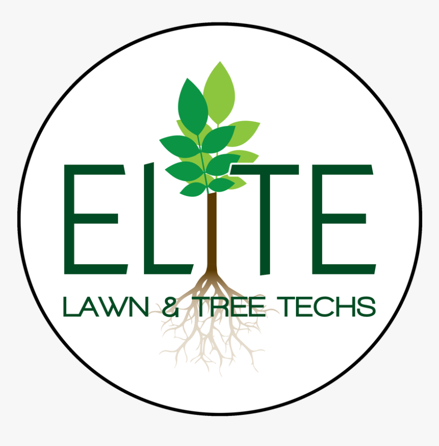 Picture - Circle, HD Png Download