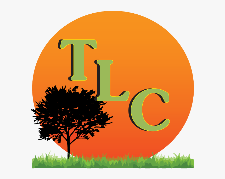 Apple Tree Silhouette, HD Png Download