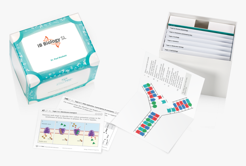 Graphic Design, HD Png Download