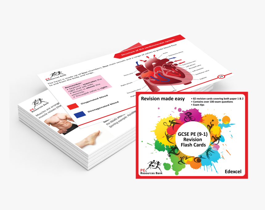 Brochure, HD Png Download