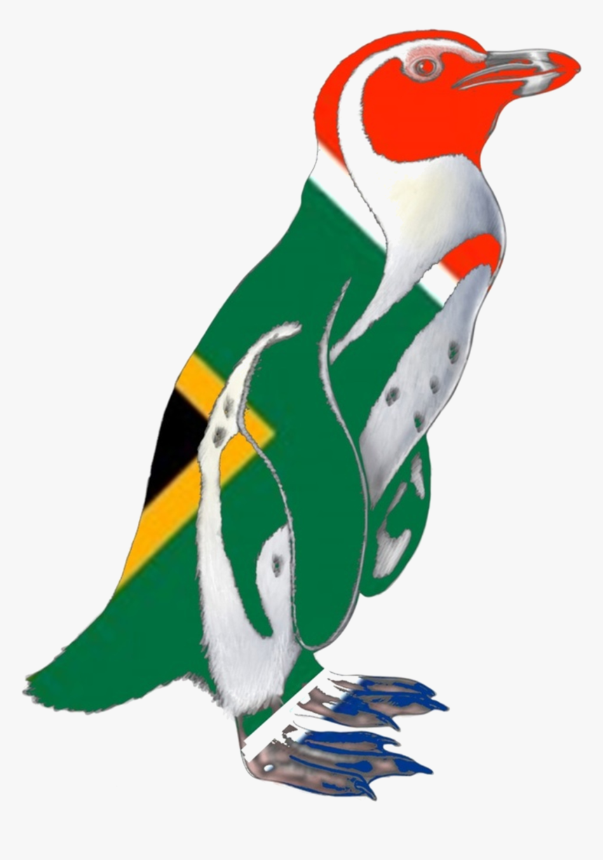 Penquin Flag Trans - Penguin, HD Png Download