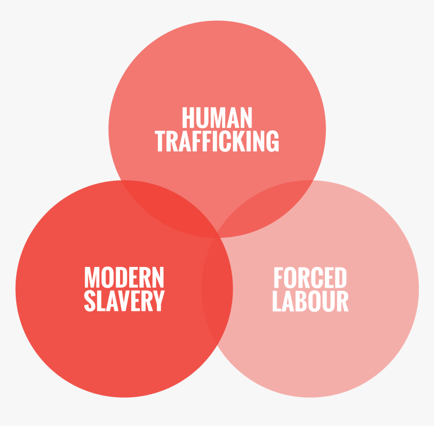 00 - Circle, HD Png Download