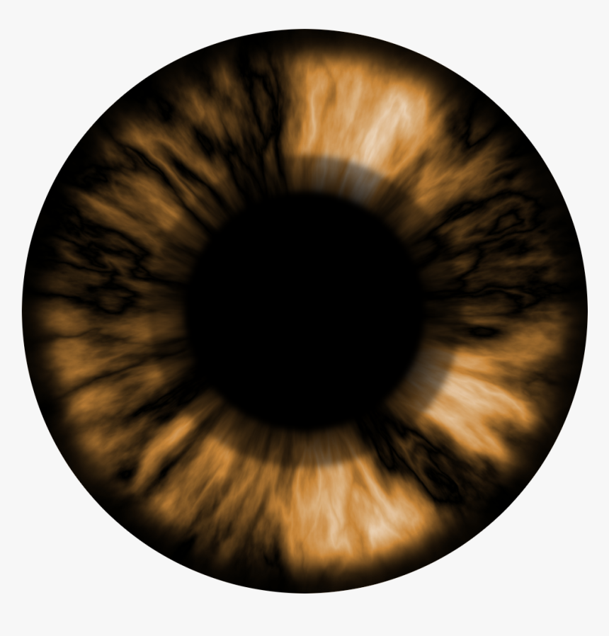 Brown Eyes Png Image - Brown Eye Lens Png, Transparent Png