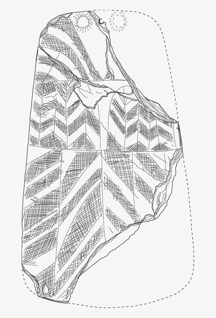 Line Art, HD Png Download