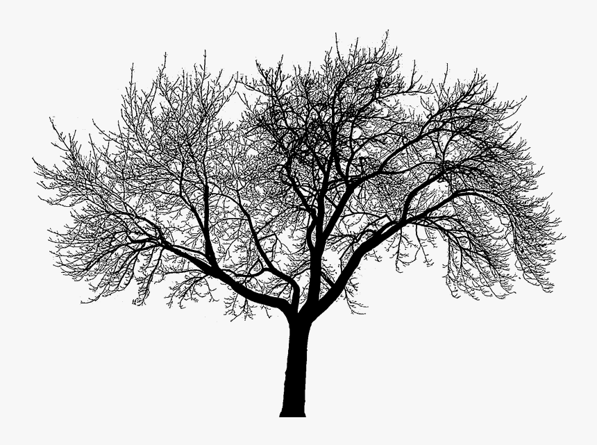 Central Park New York Logo, HD Png Download