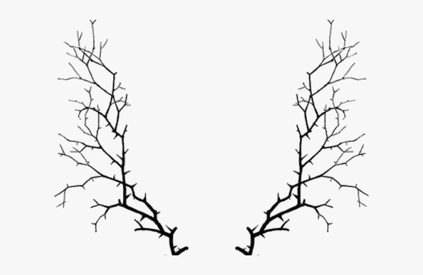 Transparent Advent Clip Art - December 5th Advent Calendar, HD Png Download