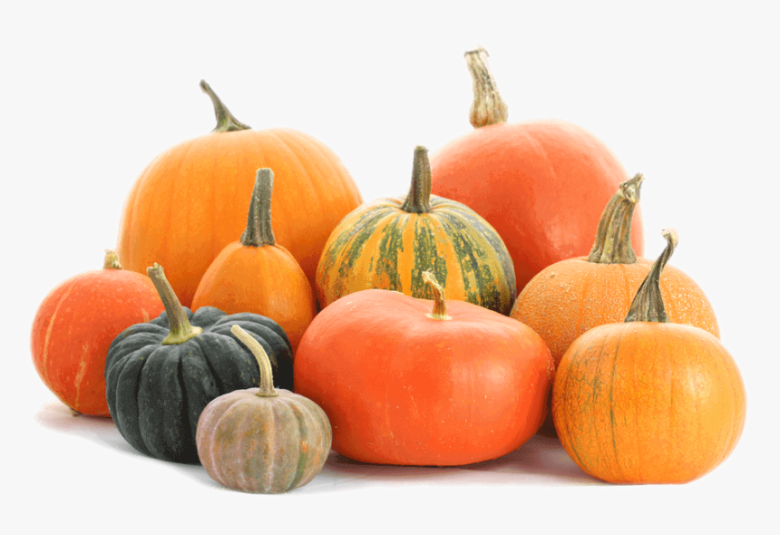 Pumpkin Patch Png - Pumpkin Png, Transparent Png
