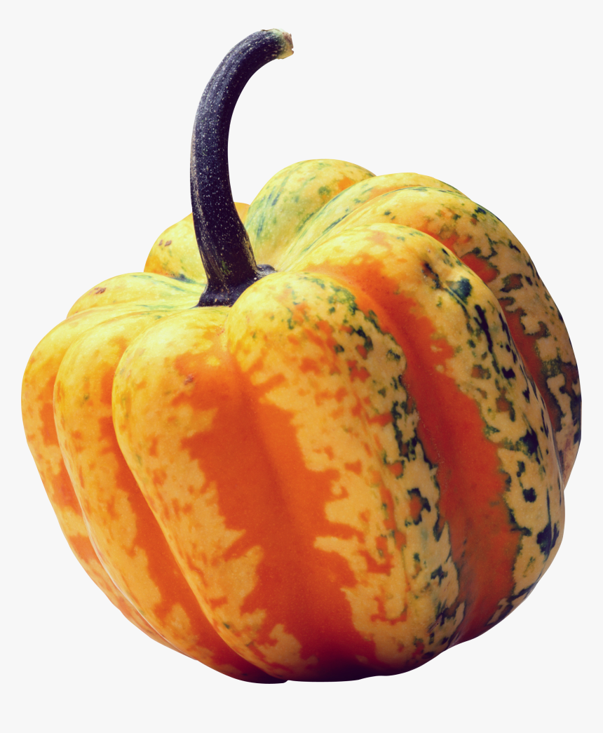Pumpkin Png Image - Orange Pumpkin Transparent Backgroimd, Png Download