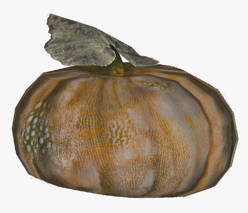 Fallout Gourd, HD Png Download