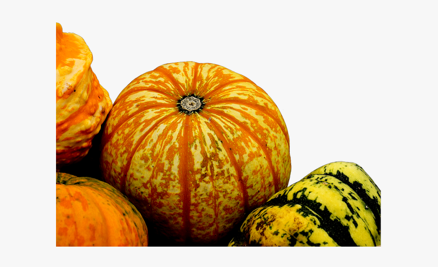 #ftestickers #autumn #fall #nature #pumpkins #gourds - Pumpkin, HD Png Download