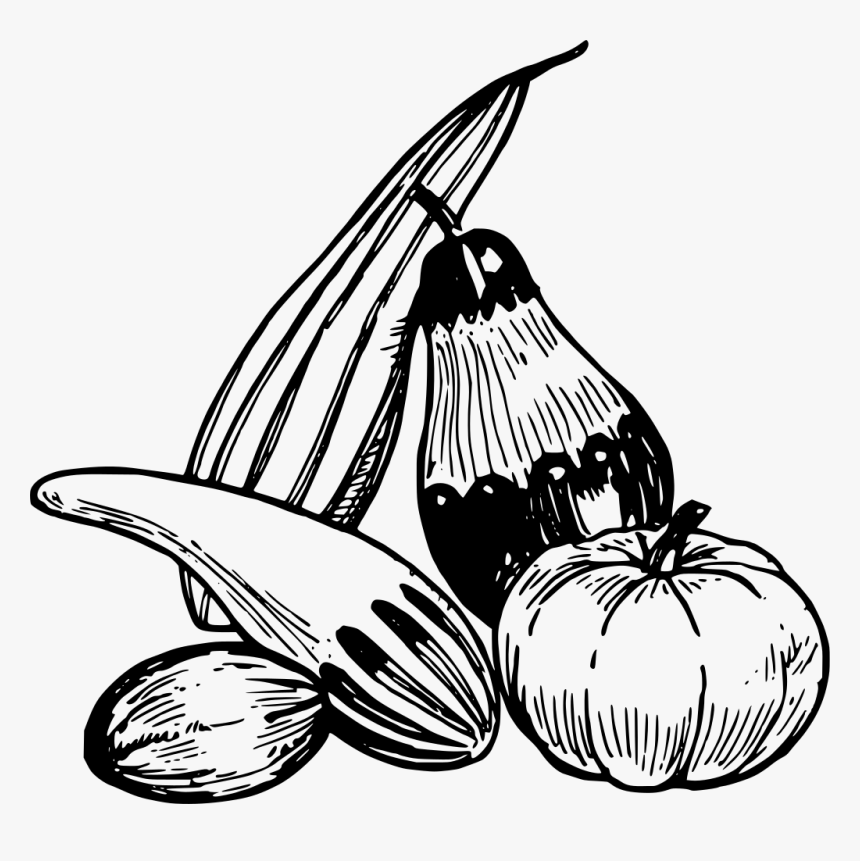 Gourds - Clip Art Vegetables, HD Png Download