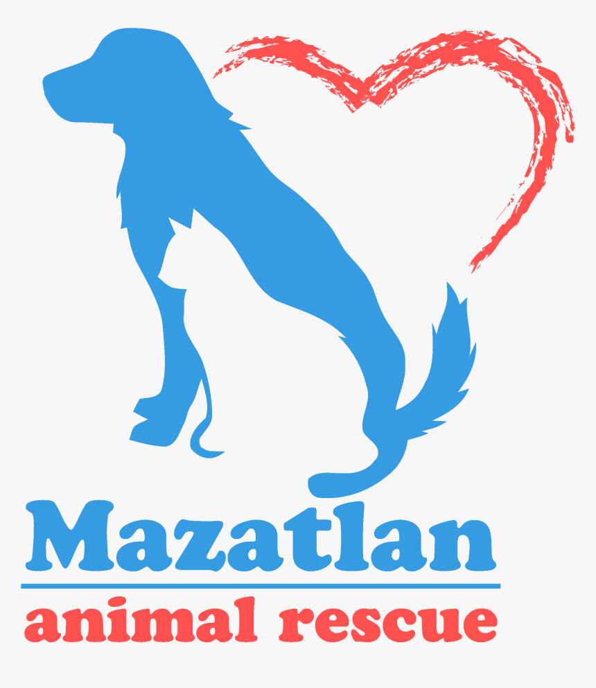 Mazatlan Animal Rescue - Natec, HD Png Download