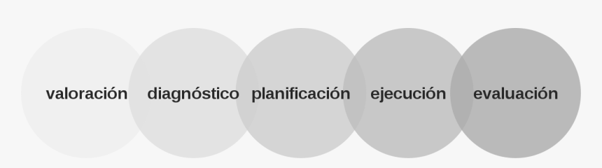 Nursing Process, HD Png Download