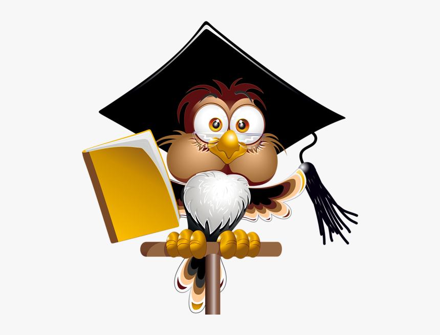 Owl With School Png - Owl Png Vector School, Transparent Png