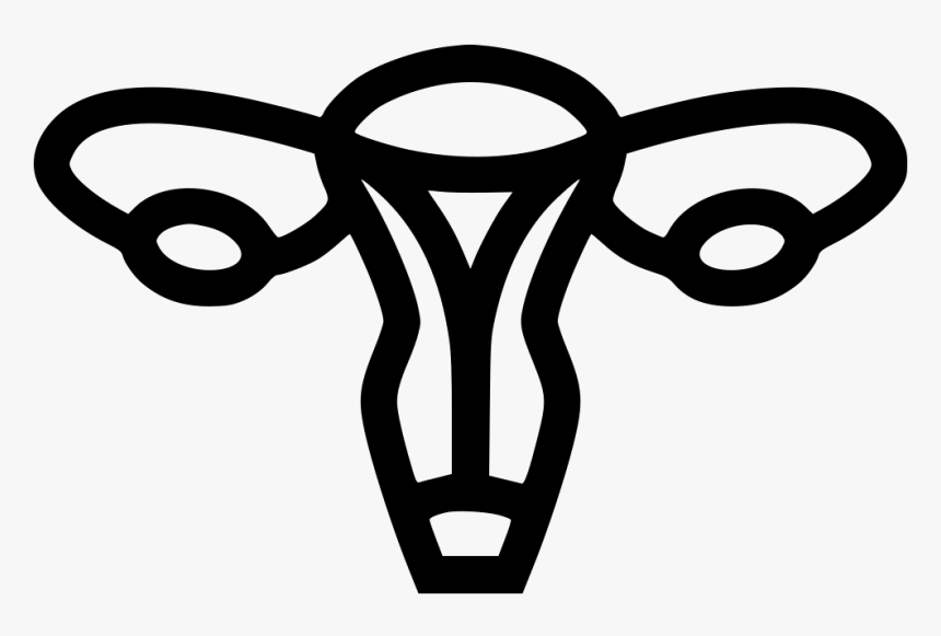 Fallopian Tubes - Fallopian Tube Png Black And White, Transparent Png