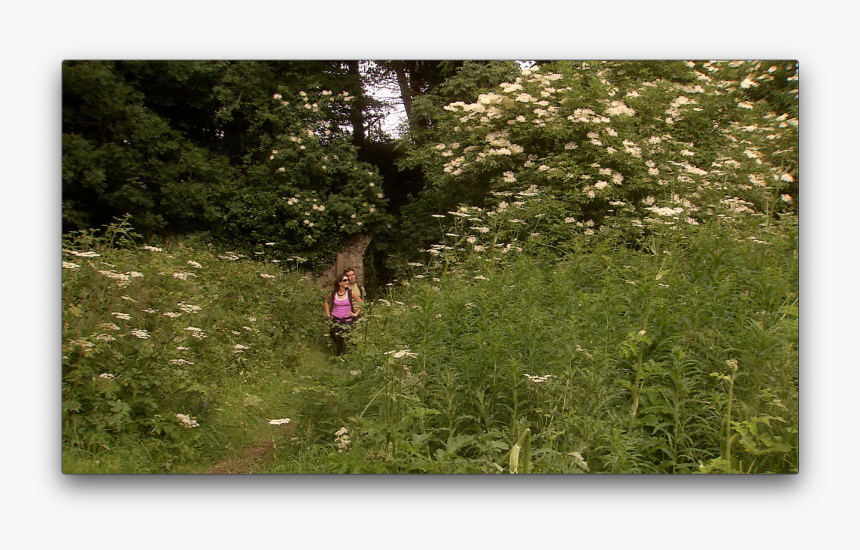 Dublin Mountains Walk, HD Png Download