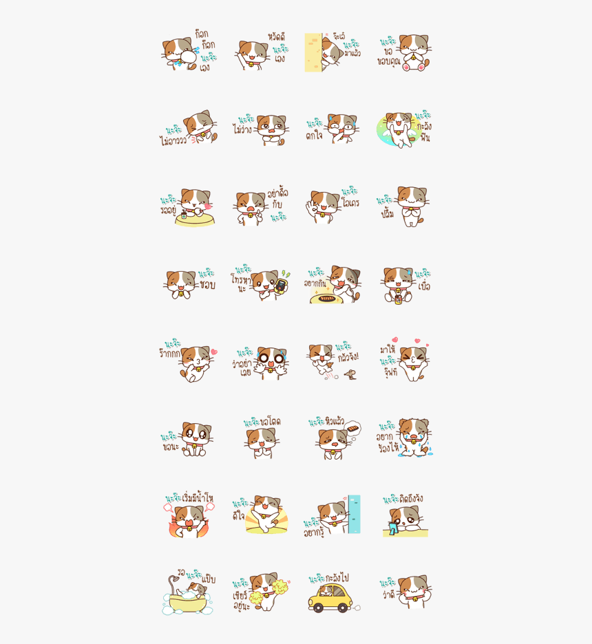 Cat Name Is Naja, HD Png Download